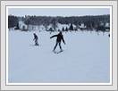 <img src=uksjunior/wydarzenia/0910/20100222zieleniec/01.jpg />