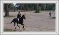 <img src=uksjunior/wydarzenia/1617/20170521jaszkowo/001.jpg />