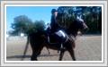 <img src=uksjunior/wydarzenia/1819/20180916jaszkowo/001.jpg />