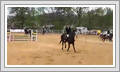 <img src=uksjunior/wydarzenia/1819/20190428jeziorki/001.jpg />