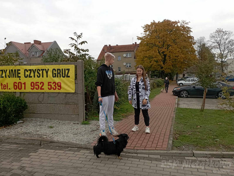 Podziękowanie dla Wolontariuszy