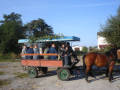 <img src=wydarzenia/0607/20060929-rajd-konny/01.jpg />