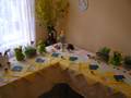 <img src=wydarzenia/0708/20080317mazurki/001.jpg />