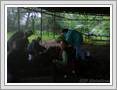 <img src=wydarzenia/1011/20100927wwsi/001.jpg />