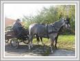 <img src=wydarzenia/1011/20101027hubertus/001.jpg />