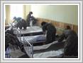 <img src=wydarzenia/1011/2011050914obozwojskowy/001.jpg />
