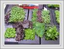 <img src=wydarzenia/1112/20110915polagra/001.jpg />