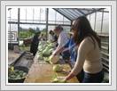 <img src=wydarzenia/1112/20111012wolontariat/001.jpg />