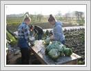 <img src=wydarzenia/1213/20121018wielkawies/001.jpg />