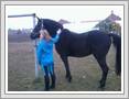 <img src=wydarzenia/1516/20151017hubertus/001.jpg />