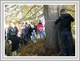 <img src=wydarzenia/1516/20151029lipa/010.jpg />
