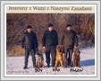 <img src=wydarzenia/1617/20161201bezpieczenstwo/001.jpg />