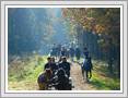 <img src=wydarzenia/1718/20171018hubertus/001.jpg />