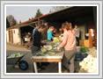 <img src=wydarzenia/1718/20171019wielkawies/001.jpg />