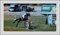 <img src=wydarzenia/1718/20180616wola/001.jpg />