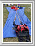 <img src=wydarzenia/2122/20220612skoki/001.jpg />