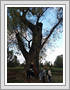 <img src=wydarzenia/2324/20231025wycieczka/001.jpg />